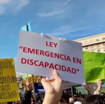 ¿Hasta cuándo rige la Ley de Emergencia en Discapacidad y qué implica?