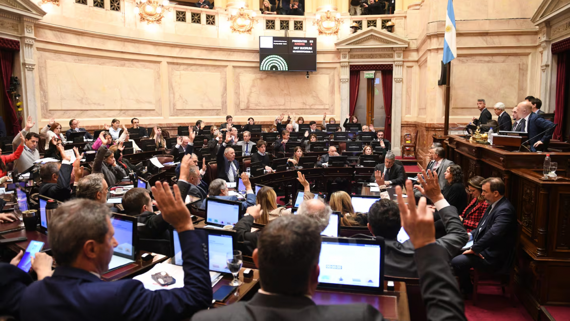 Le pararon el carro a Milei con los DNU: cómo sigue todo para el presidente
