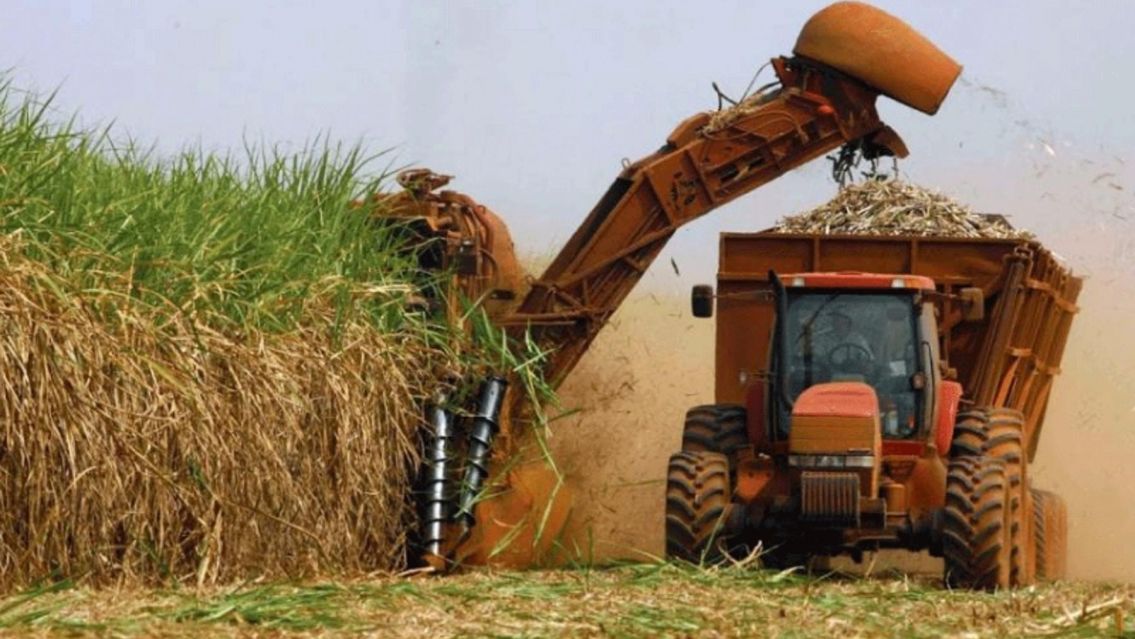 Jujuy: empresario azucarero ir� a juicio por explotaci�n laboral y hacinamiento en una finca