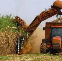 Jujuy: empresario azucarero irá a juicio por explotación laboral y hacinamiento en una finca