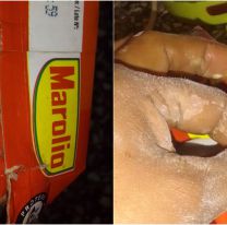 Abrió una caja de puré de tomates y se topó con algo asqueroso: la denuncia de una salteña