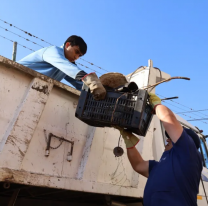 Dengue: Salud reforzó el descacharrado en más de 100 barrios jujeños