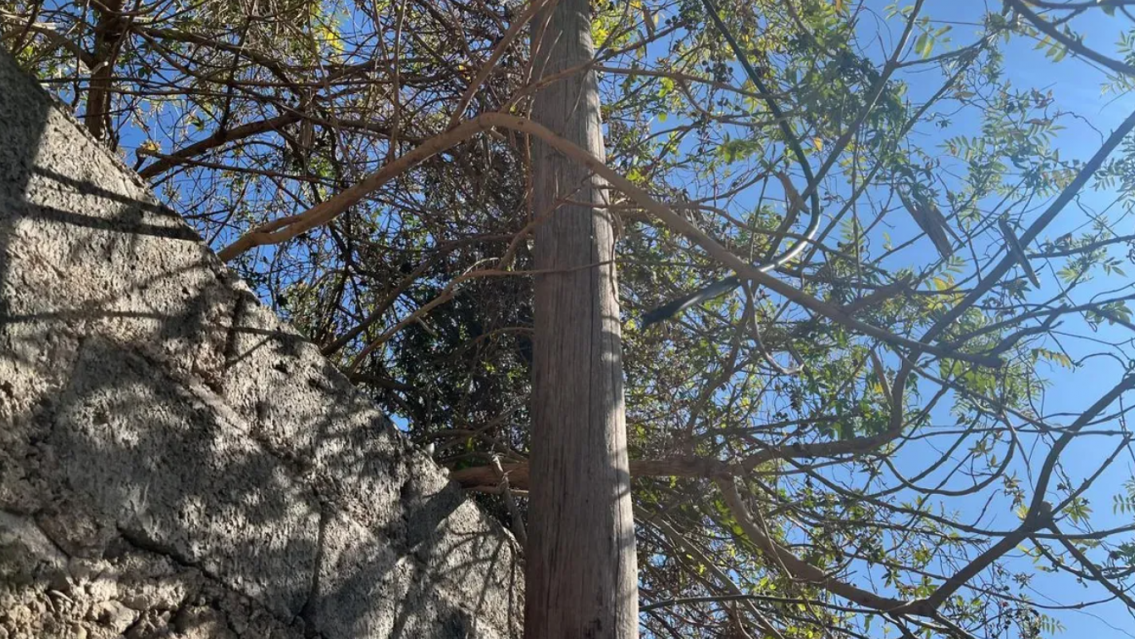 Vecinos aterrados con un cable suelto y electrificado: denuncian que la muni no se hizo cargo