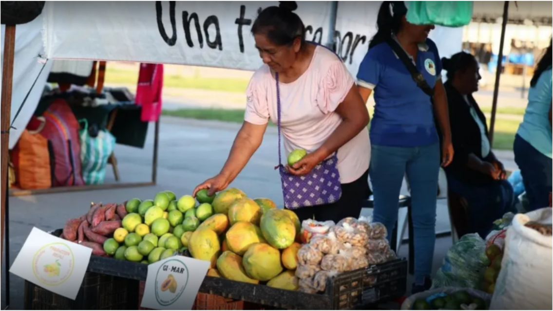 Vuelve la Feria Campesina Pucar� en la Vieja Estaci�n: cu�ndo ser�
