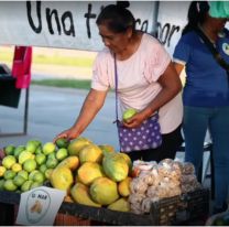 Vuelve la Feria Campesina Pucará en la Vieja Estación: cuándo será