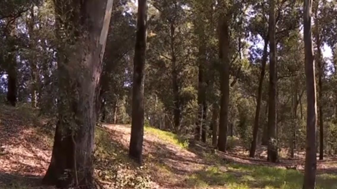 Vecino escuchó gritos desgarradores y se dio con una aberrante situación en un descampado