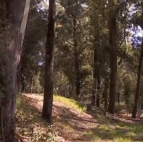 Vecino escuchó gritos desgarradores y se dio con una aberrante situación en un descampado