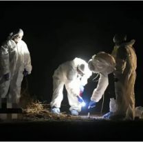 Identificaron al hombre hallado calcinado en un descampado: hay un detenido