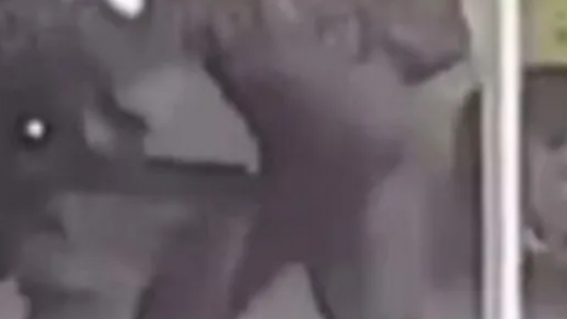 Dos mujeres policías se pelearon en una comisaría de Jujuy: eran amantes del mismo oficial