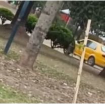 En medio de la pol&eacute;mica con Uber, as&iacute; vieron a un taxi amarillo en el Parque San Mart&iacute;n