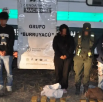 Gendarmería secuestró más de 12 kilos de cocaína en un colectivo en Tucumán