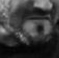 [QEPD] Murió un reconocido rugbier en pleno partido: tenía 41 años