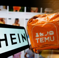 Conocé los límites de compras en SHEIN y TEMU para que no queden retenidas por ARCA