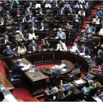 Diputados rechazaron el veto presidencial al financiamiento del Garrahan y universidades