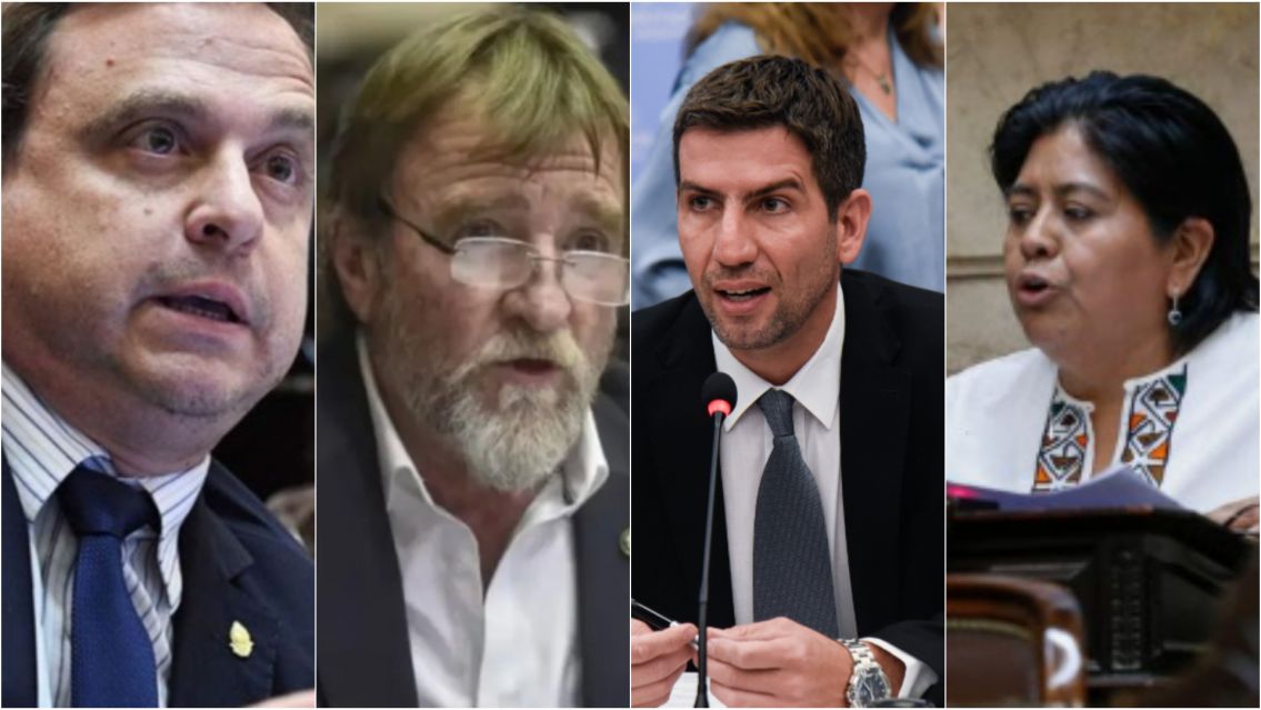 As� votaron los diputados juje�os por el veto a universidades y el Garrahan