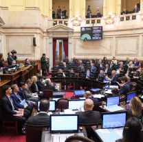 El Senado rechazó el veto de Milei a la ley que obliga a repartir los ATN con las provincias