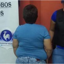 Norteño descubrió que la empleada le desvalijaba la casa: así se enteró