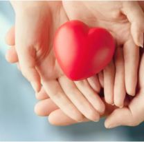 Jujuy avanza en trasplantes: 59 ablaciones de órganos y tejidos durante el año