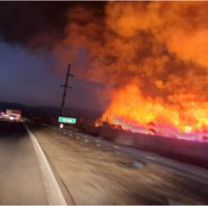 En Jujuy ya son más de 4.700 las hectáreas arrasadas por incendios en 2025