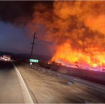 En Jujuy ya son más de 4.700 las hectáreas arrasadas por incendios en 2025