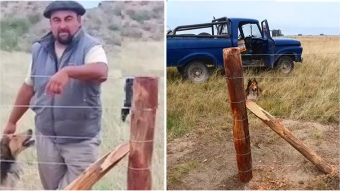 La pelea en el campo que terminó con un final trágico: los detalles