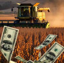 Milei elimina las retenciones a los granos para acelerar el ingreso de dólares