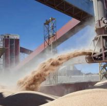 El Gobierno eliminó las retenciones a todos los granos hasta fines de octubre