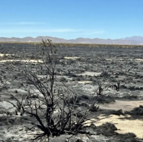Terrible incendio intensionado arrasó con 55 hectáreas en un área protegida de Jujuy