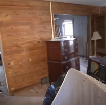 Le pedía la casa a su inquilina porque no pagaba y descubrió que tenía bebés muertos