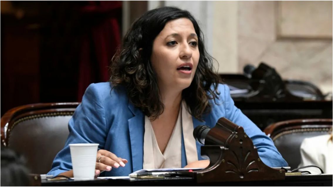 Leila Chaher: "El congreso tiene que poner freno a los desmanejos financieros"