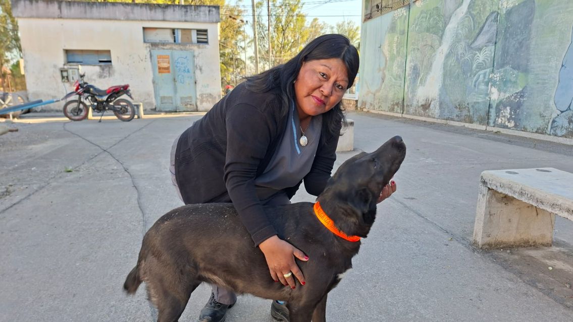 "No son peregrinos": piden no llevar mascotas a Río Blanco