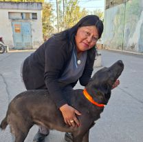 "No son peregrinos": piden no llevar mascotas a Río Blanco 