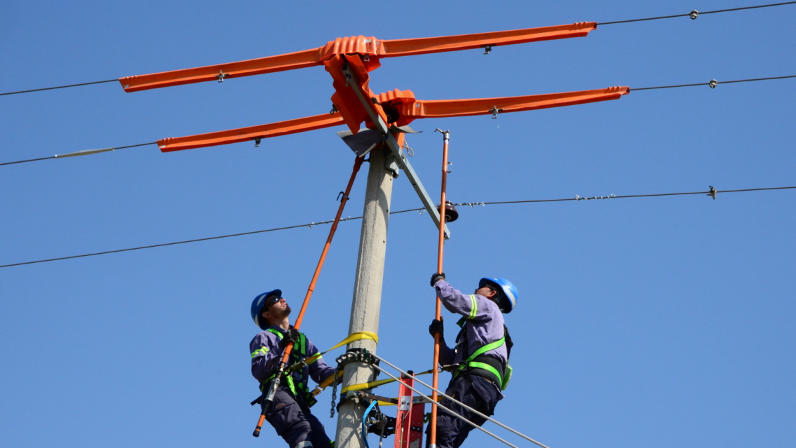 ALERTA: Barrio Luján está sin luz y debería ser hasta el mediodía