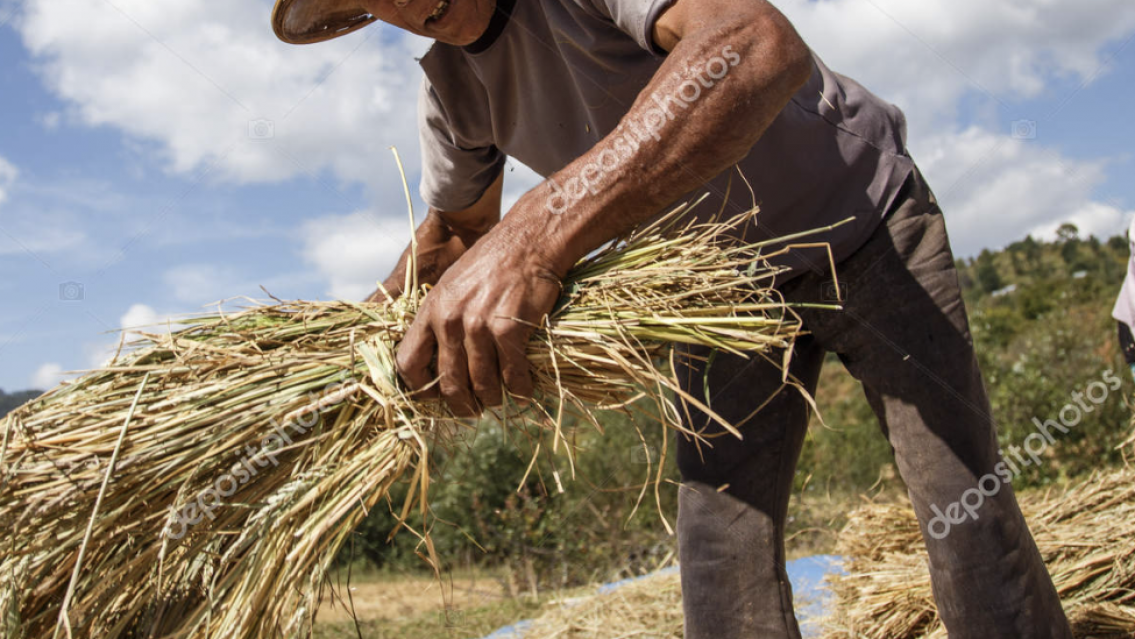Abusaban de dos personas con discapacidad y de una menor de edad en Jujuy