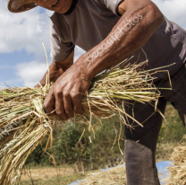 Abusaban de dos personas con discapacidad y de una menor de edad en Jujuy