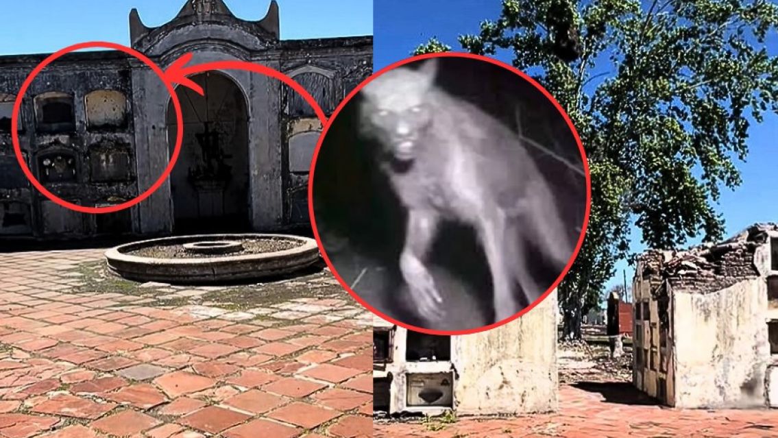 Lloraba de miedo: grab� la tumba del lobiz�n y lo que encontr� la dej� helada