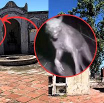 Lloraba de miedo: grabó la tumba del lobizón y lo que encontró la dejó helada