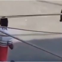 Insólito: un joven fue noqueado por un vendedor ambulante sin manos