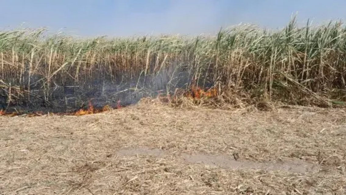 Hombre provocó incendio de cañaverales y ahora deberá pagar una fortuna los Bomberos