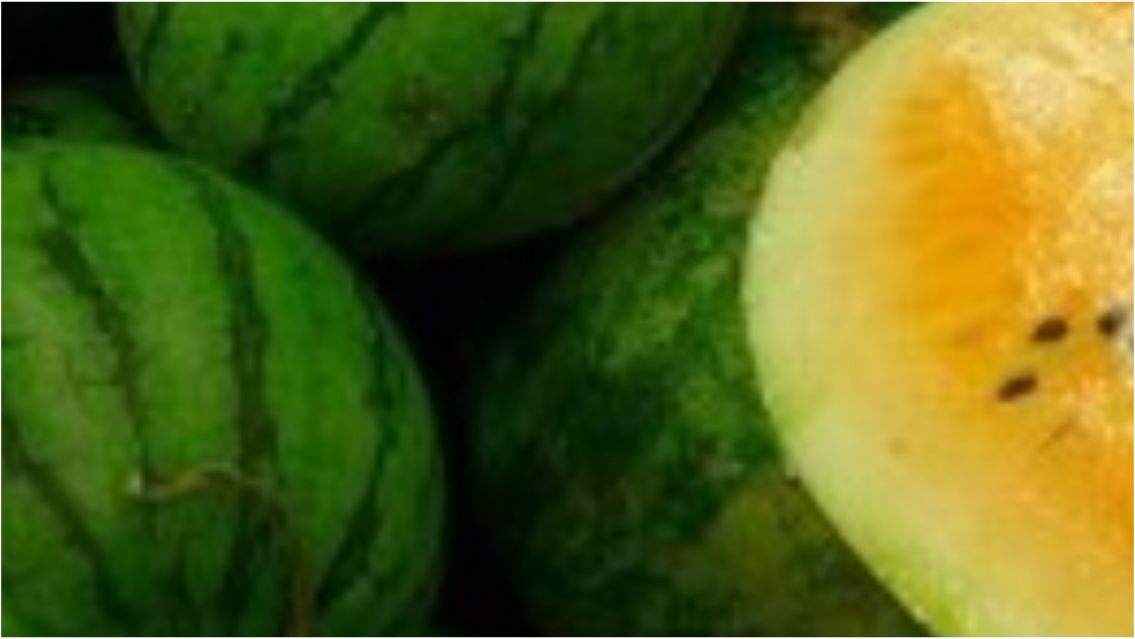 La extraña fruta que sólo se consigue en Jujuy: los beneficios que tiene