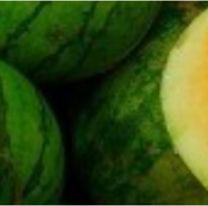 La extraña fruta que sólo se consigue en Jujuy: los beneficios que tiene