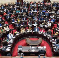 El Senado rechazará los vetos de Milei a las leyes de universidades y pediatría