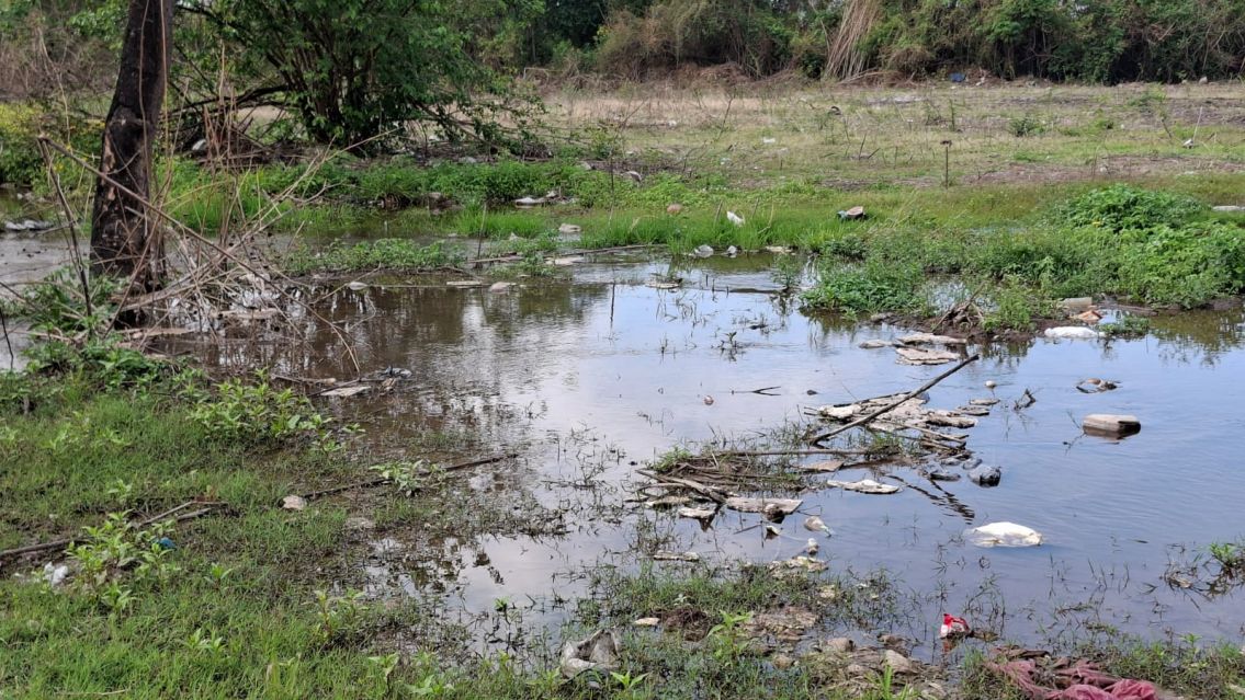 Basural y p�rdida de agua en el acceso hist�rico por Ruta 21 a Palpal�