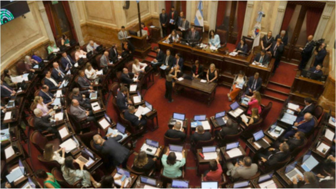 El Senado rechaz� los vetos de Milei y reactiv� las leyes de universidades y pediatr�a