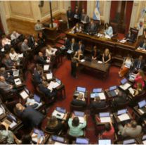 El Senado rechazó los vetos de Milei y reactivó las leyes de universidades y pediatría