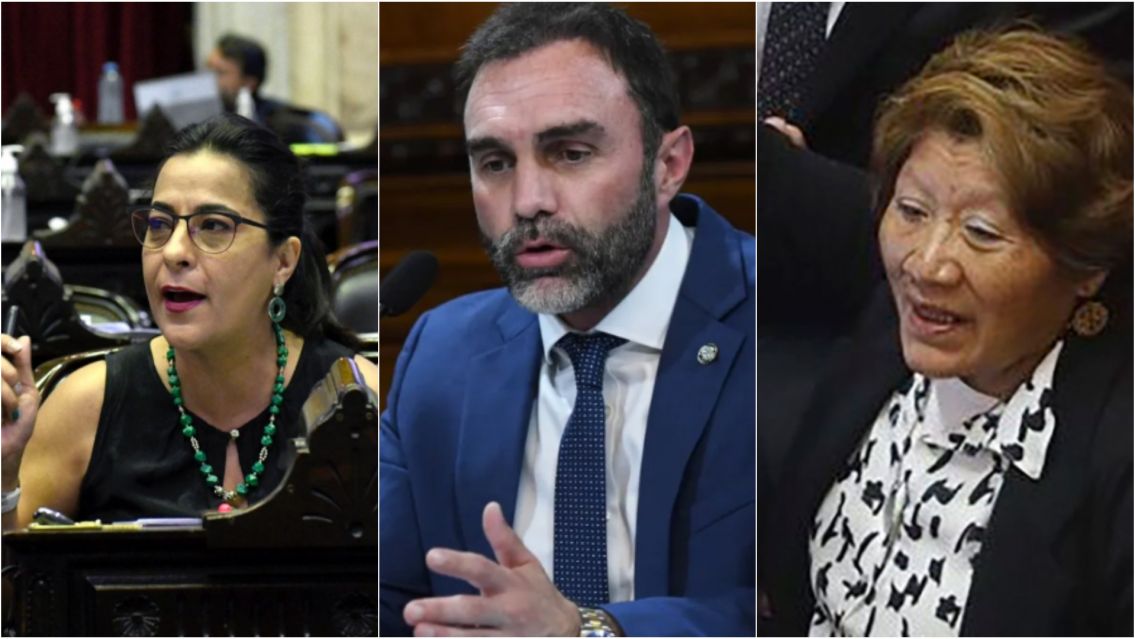 As� votaron los senadores juje�os en el rechazo a los vetos de Milei
