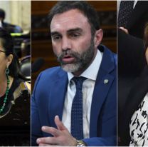 Así votaron los senadores jujeños en el rechazo a los vetos de Milei