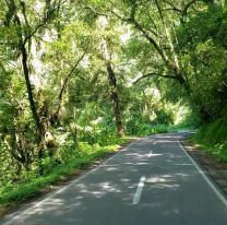 Auto se desplomó en un barranco en Jujuy: una mujer murió y hay cinco heridos graves