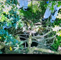 Así es el lugar donde encontraron muerta a la joven de 22 años en Entre Ríos