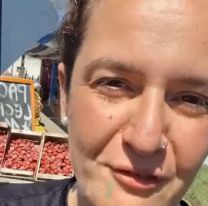 Esto encontraron en los cajones de frutilla que estaban en un puesto al lado de la ruta